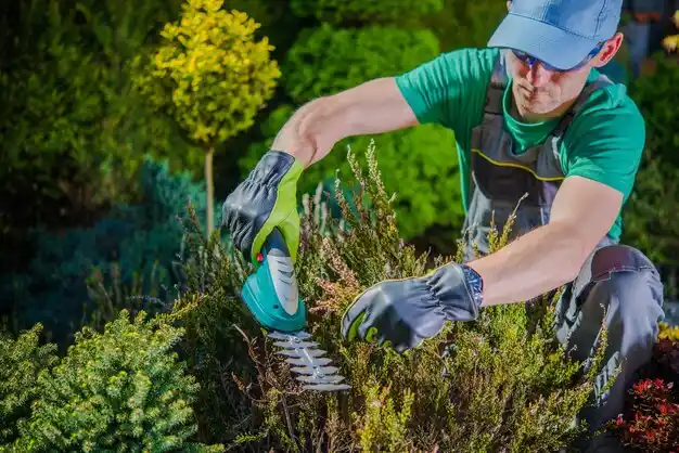 landscaping services Seneca Knolls